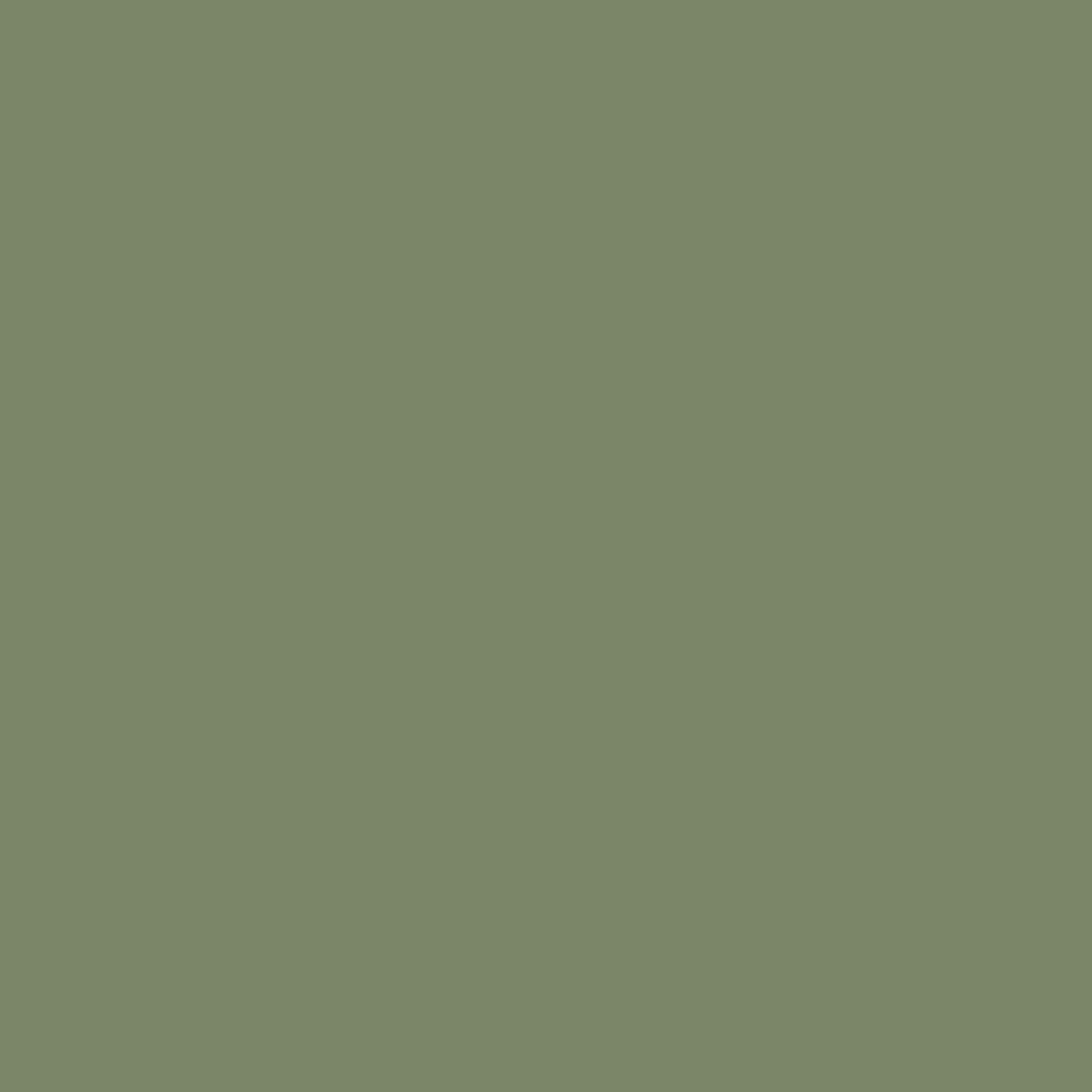 Couleur Vert Olive